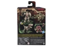 Hasbro Transformers Generations War For Cybertron: Kingdom Deluxe Paleotrex Action Figure WFC-K7 -Hasbro 5010993764327z