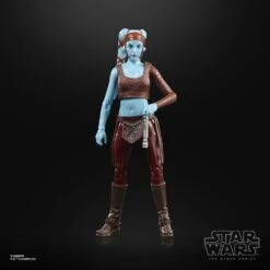 Hasbro Star Wars Black Series Attack Of The Clones #03 Aayla Secura 6 Inch Action Figure -Hasbro 5010993993734b