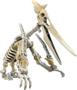 Hasbro Transformers WFC Deluxe Class WFC-K25 Wingfinger Action Figure (no Package) -Hasbro wf1 08662.1687216330